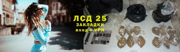 ECSTASY Алзамай