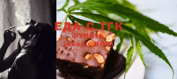 ECSTASY Алзамай