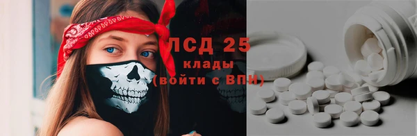 ECSTASY Алзамай