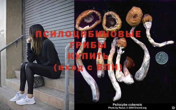ECSTASY Алзамай