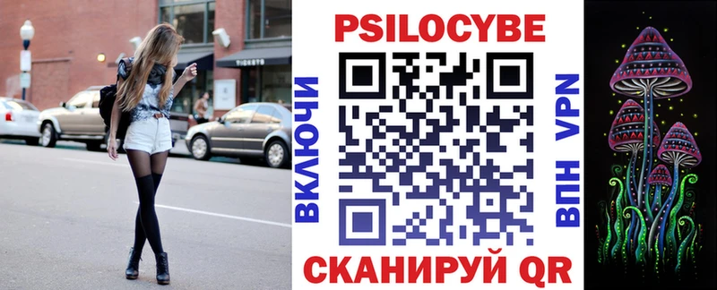 Купить где  Сертолово  Псилоцибиновые грибы Psilocybine cubensis 